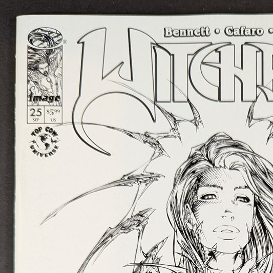 Witchblade #25 CVR B Michael Turner & Dtron VAR