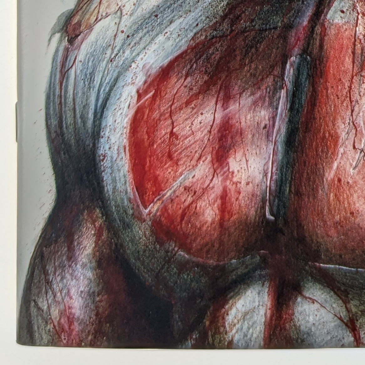 Invincible Returns #1 Wil Shrike Virgin C2E2 Exclusive LTD 1500