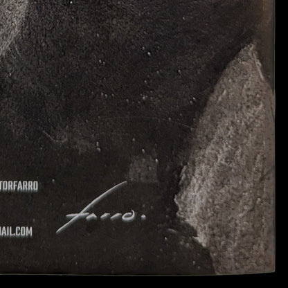 Viktor Farro Art Book | Wonder Woman Signed by Viktor Farro COA