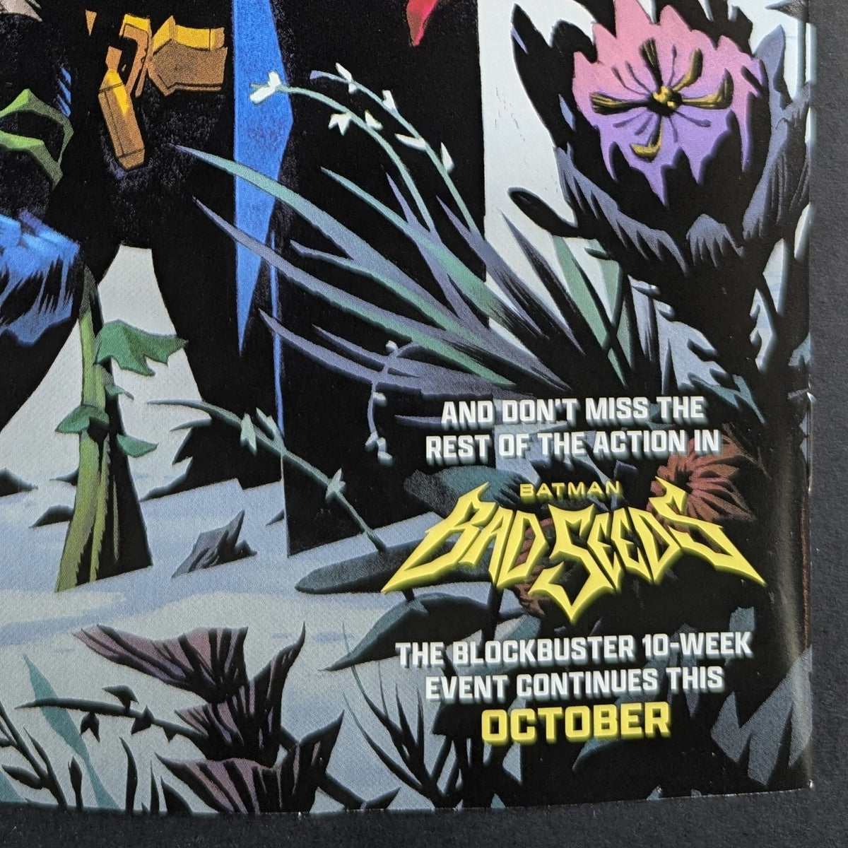 Poison Ivy #48 CVR E Hayden Sherman Dark Knight Returns 40TH Anniversary Card St