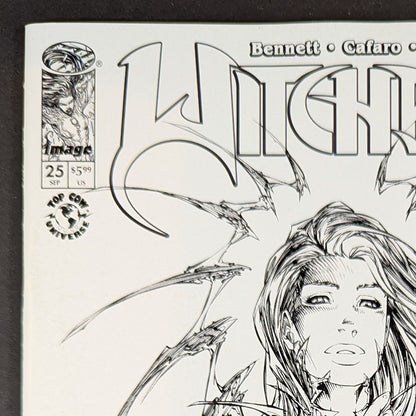 Witchblade #25 CVR B Michael Turner & Dtron VAR
