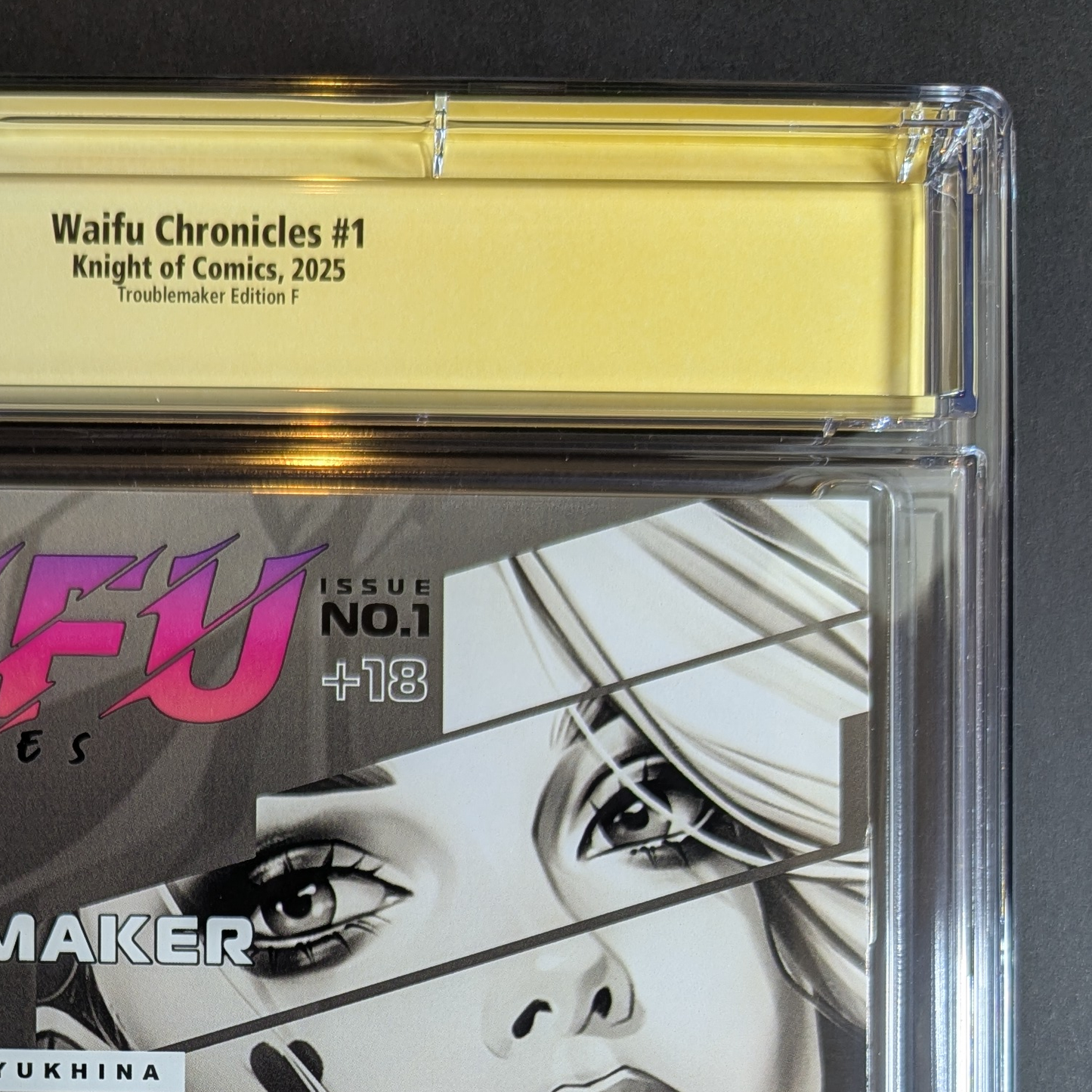 CGC 9.8 JSA | Waifu Chronicles "Troublemaker" | Cover F Signed Katya Sinyukhina