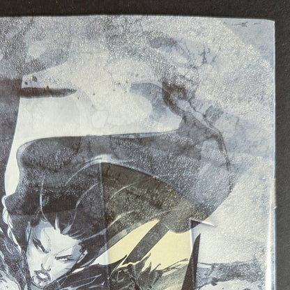 Witchblade #25 CVR B Michael Turner & Dtron VAR