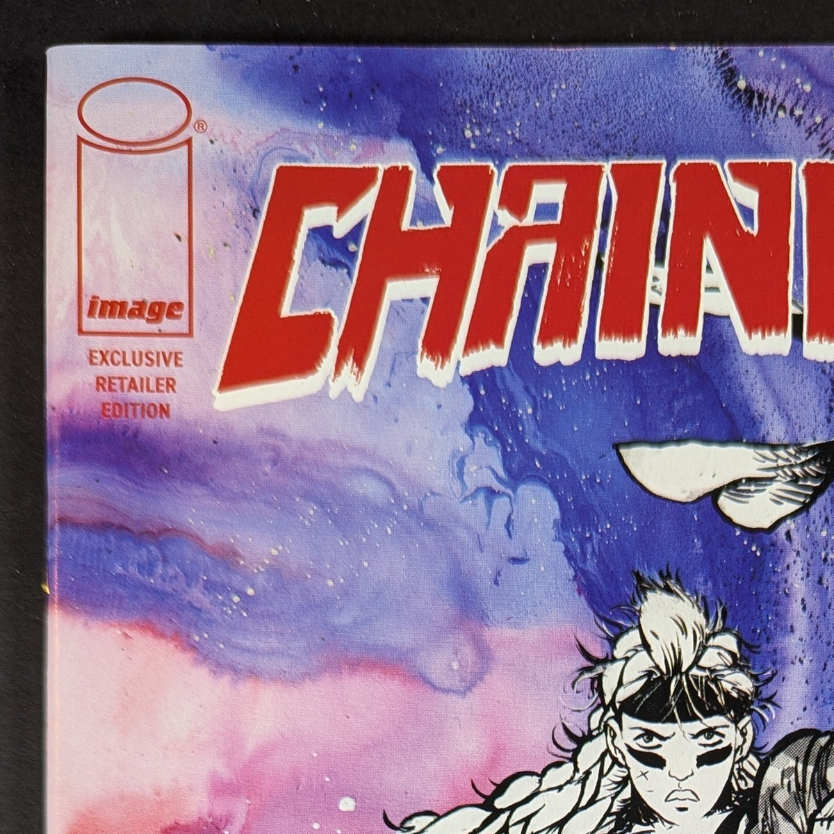 Chainkata #1 Ashcan | Daniel Warren Johnson | One Per Store