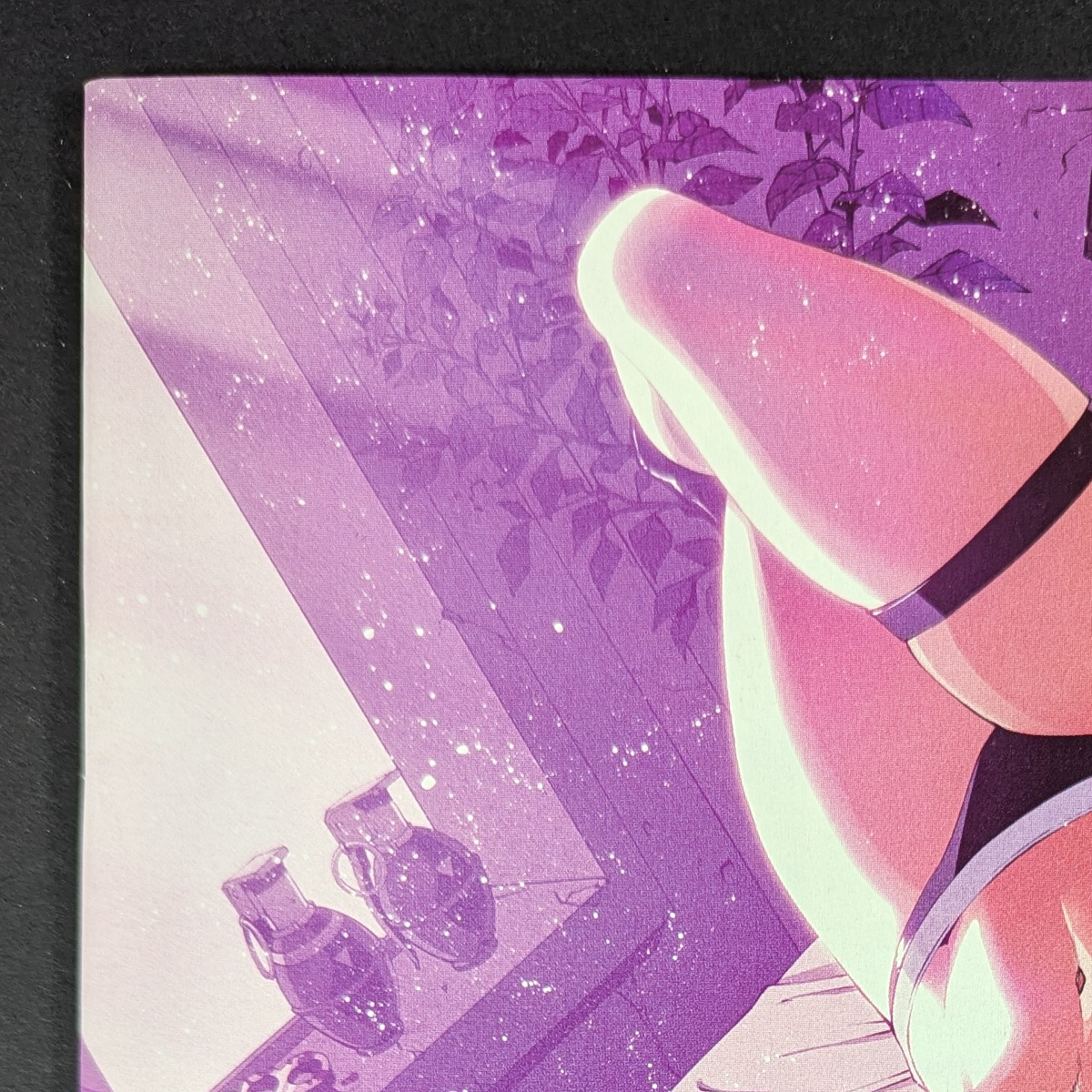 Heat Seeker: Exposed, A Gun Honey Series #2 | Knight of Comics Edition D